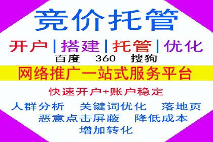 行业领先企业的SEM代运营成功之路